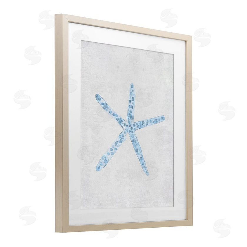 Camila Juncos | Starfish with Thin Arms