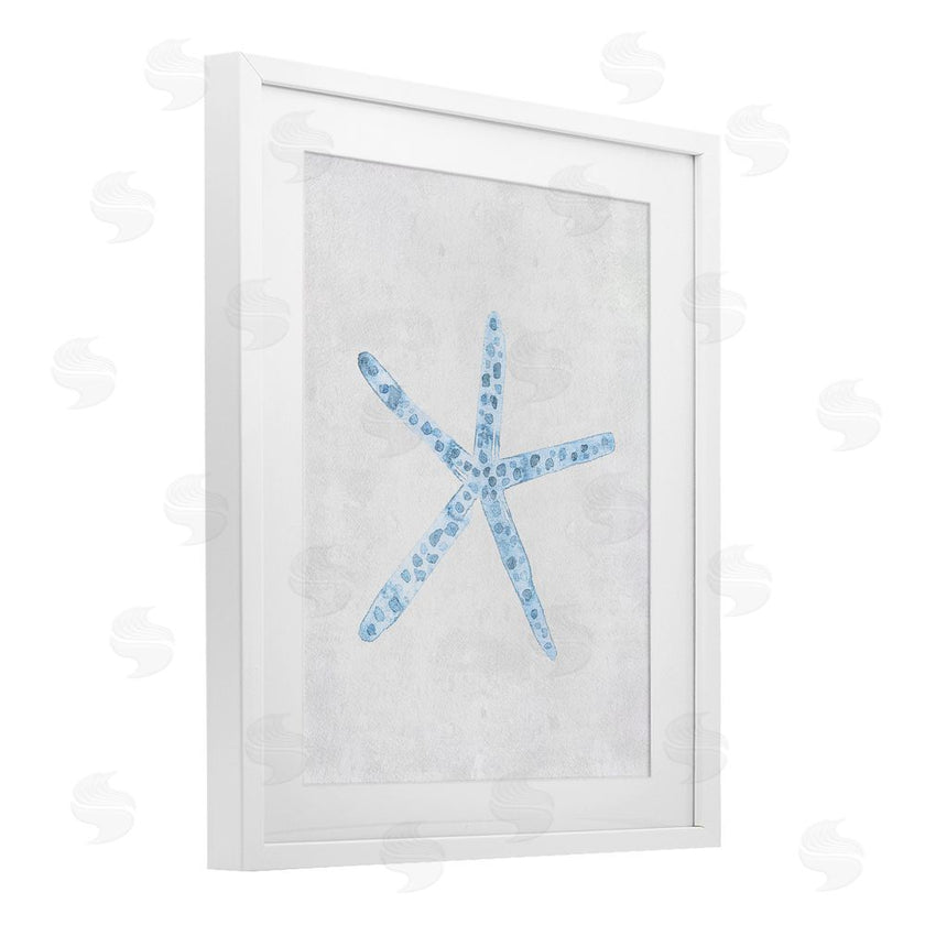Camila Juncos | Starfish with Thin Arms