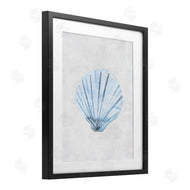 Camila Juncos | Muted Clam Shell Subtlety