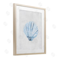 Camila Juncos | Muted Clam Shell Subtlety