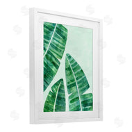 Camila Juncos | Banana Leaf Tropics