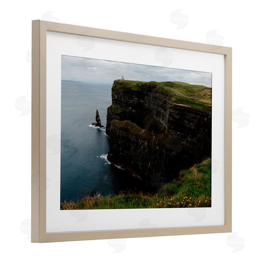 Jade Sharp Photo Scenic Ireland Cliffs Birch Framed Print Under Glass Art