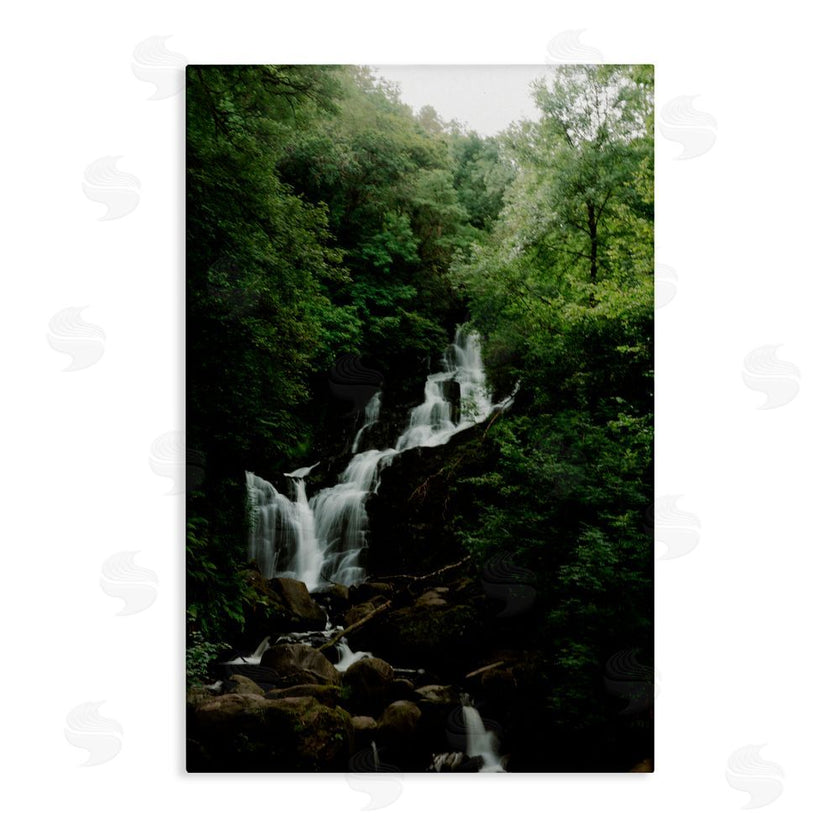 Jade Sharp Photo | Cascading Waterfall in Forest