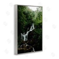 Jade Sharp Photo | Cascading Waterfall in Forest