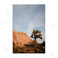 Jade Sharp Photo | Joshua Tree & Canyon