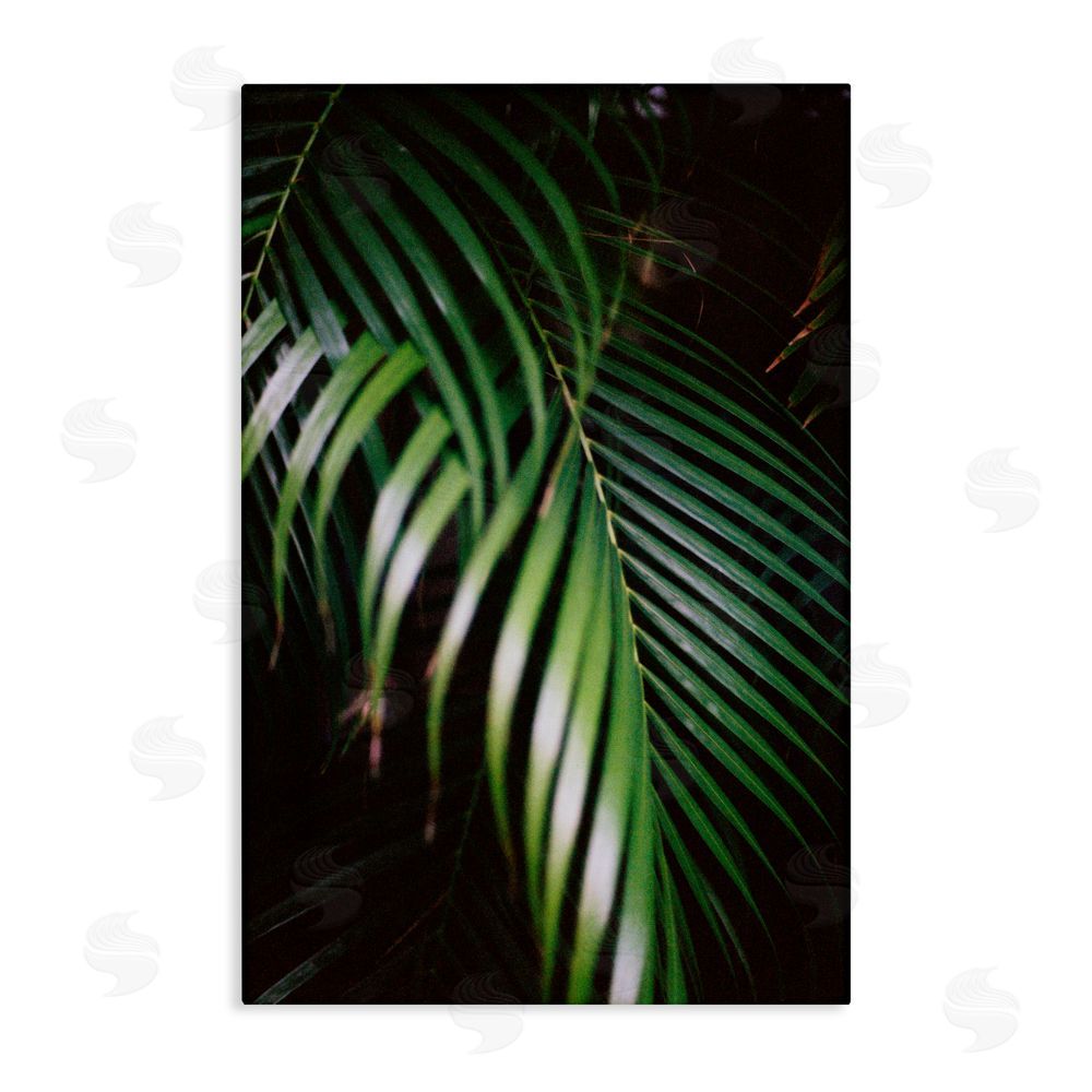 Jade Sharp Photo Palm Leaves Weaving Together Canvas Wall Art Print