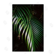 Jade Sharp Photo | Palm Leaves Weaving Together