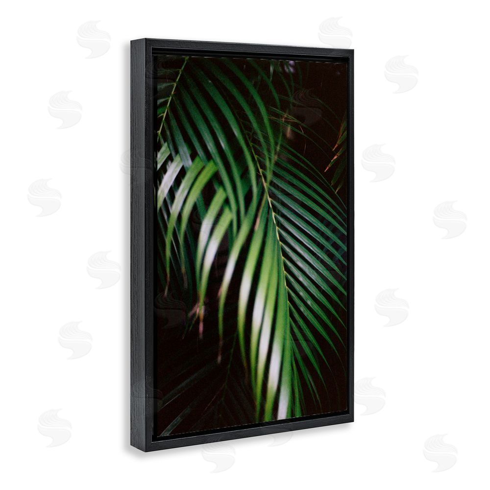 Jade Sharp Photo Palm Leaves Weaving Together Black Floating Frame Canvas Wall Art Print