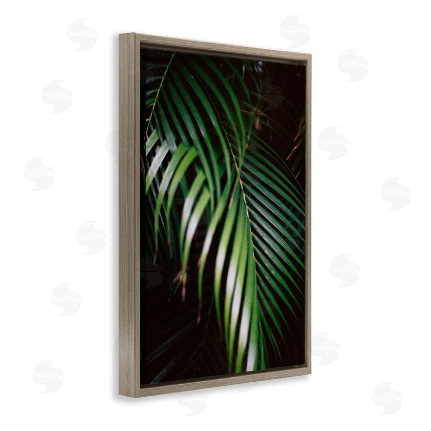 Jade Sharp Photo | Palm Leaves Weaving Together