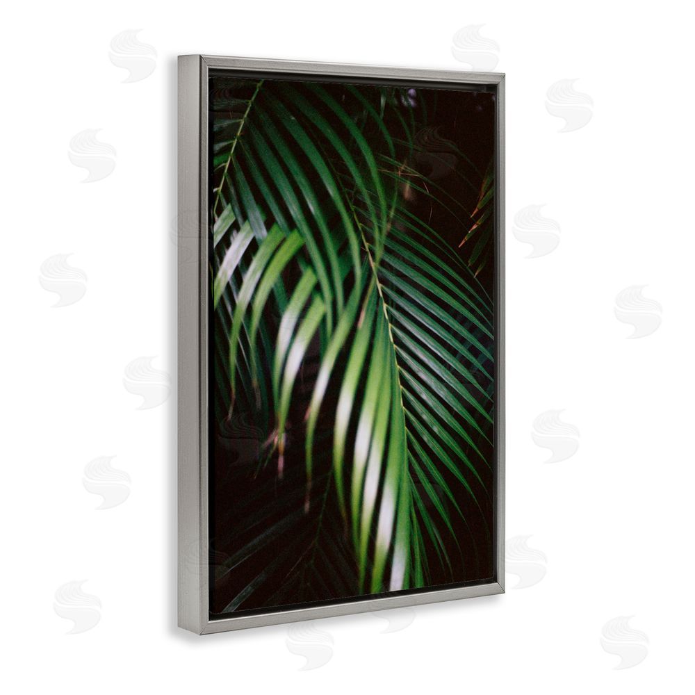 Jade Sharp Photo Palm Leaves Weaving Together Gray Floating Frame Canvas Art Print