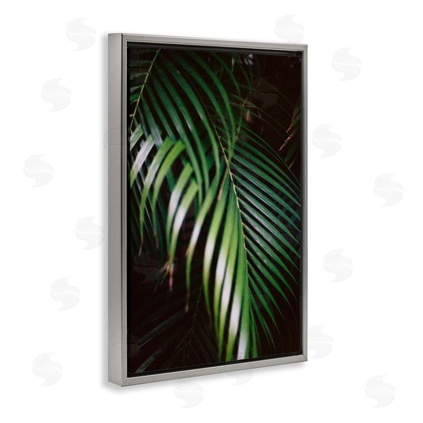 Jade Sharp Photo | Palm Leaves Weaving Together