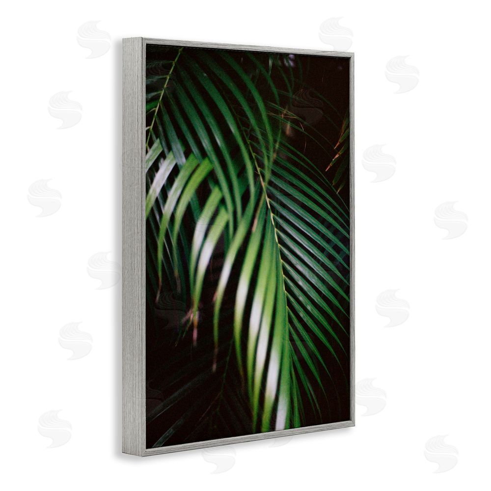 Jade Sharp Photo Palm Leaves Weaving Together Gray Framed Giclee Art Print