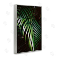 Jade Sharp Photo | Palm Leaves Weaving Together
