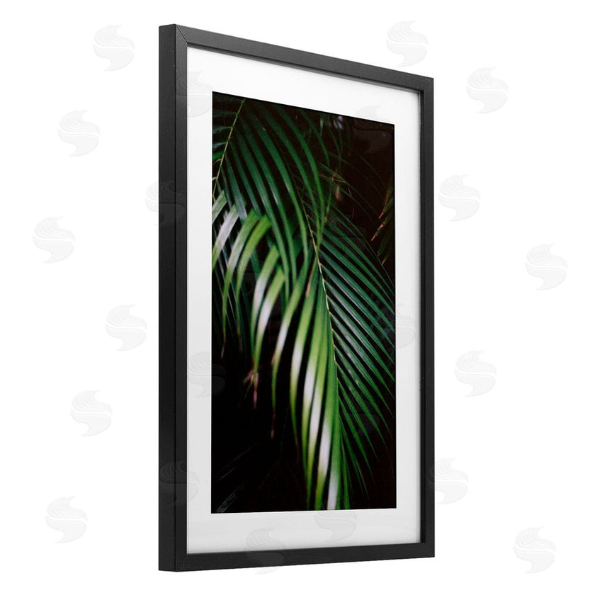 Jade Sharp Photo | Palm Leaves Weaving Together