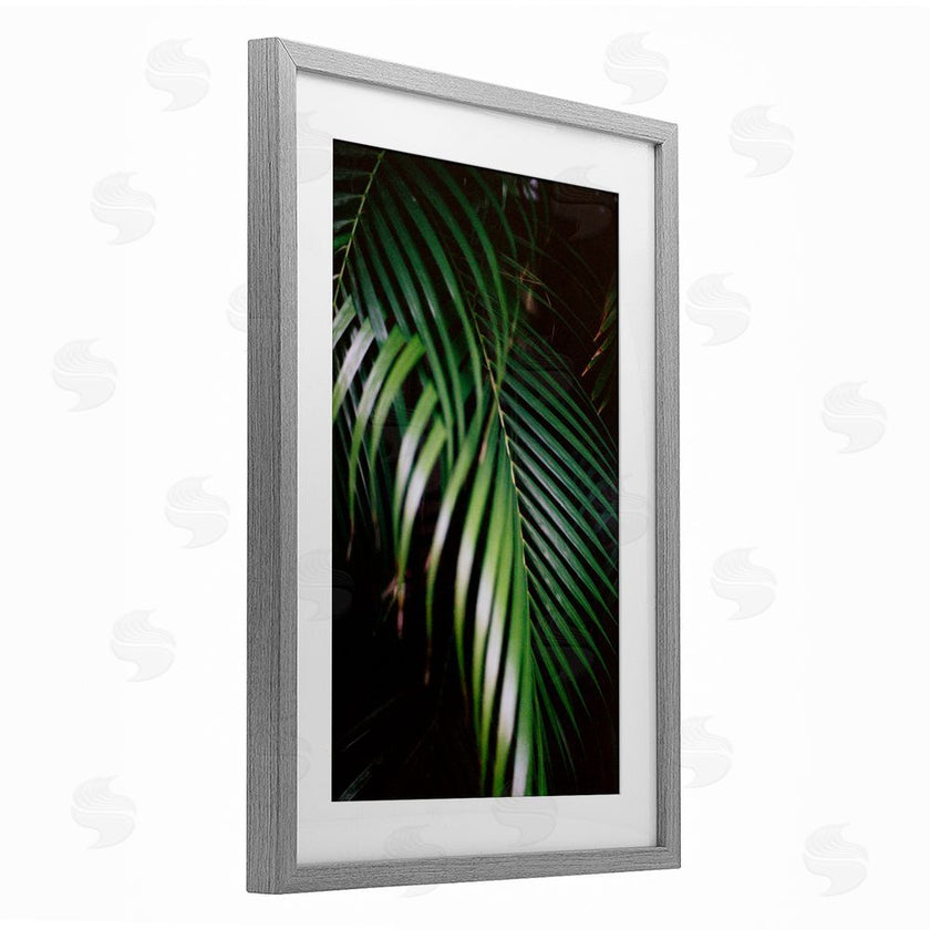 Jade Sharp Photo | Palm Leaves Weaving Together