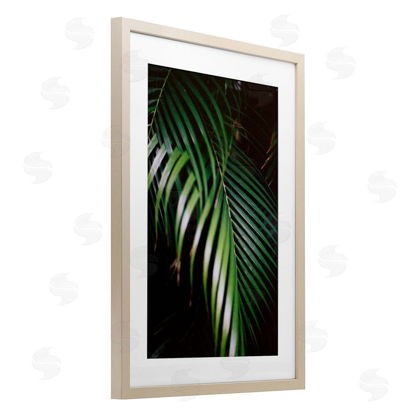 Jade Sharp Photo | Palm Leaves Weaving Together