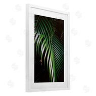 Jade Sharp Photo | Palm Leaves Weaving Together