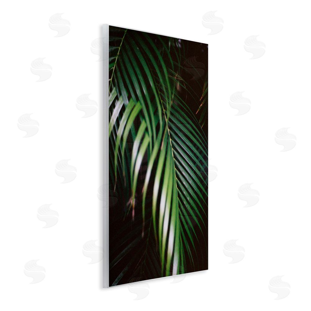 Jade Sharp Photo Palm Leaves Weaving Together Wall Plaque Art Print