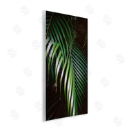 Jade Sharp Photo | Palm Leaves Weaving Together