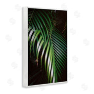 Jade Sharp Photo | Palm Leaves Weaving Together