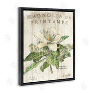 Sue Schlabach | French Magnolias In Spring