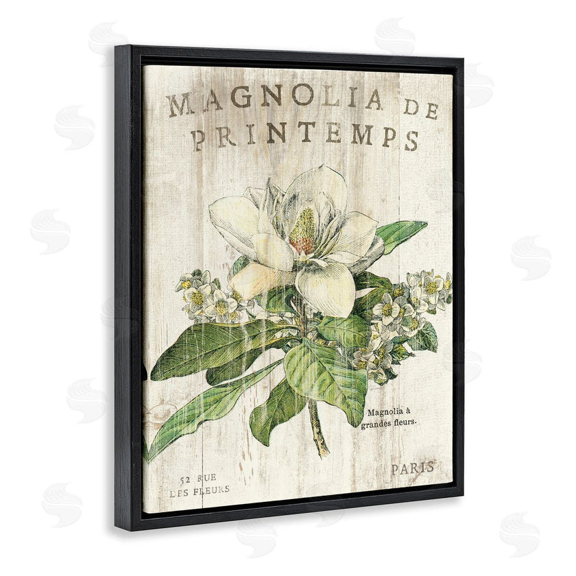 Sue Schlabach | French Magnolias In Spring
