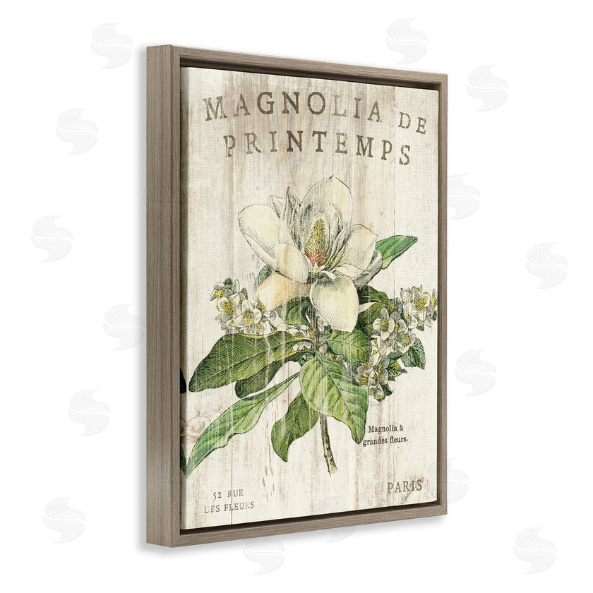 Sue Schlabach | French Magnolias In Spring