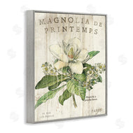 Sue Schlabach | French Magnolias In Spring