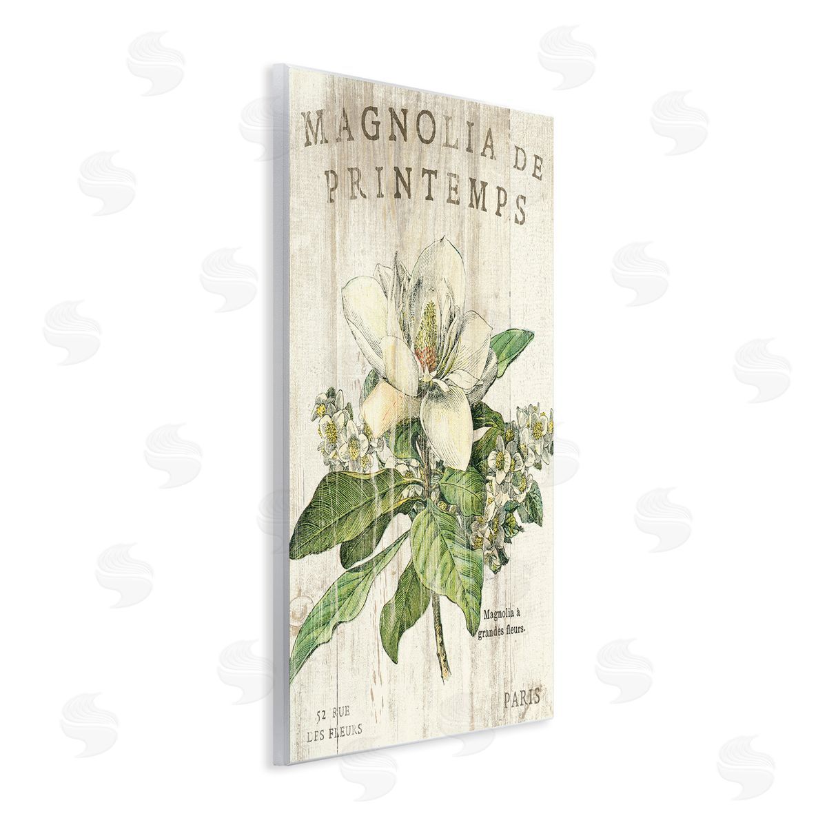 French Magnolias In Spring Wood Plaque Wall Art, Home Decor by Sue Schlabach
