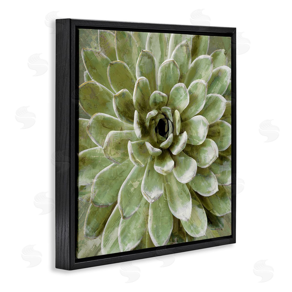 Green Botanical Succulent Bloom Black Floating Frame Canvas Wall Art, Home Decor by Stupell Studio