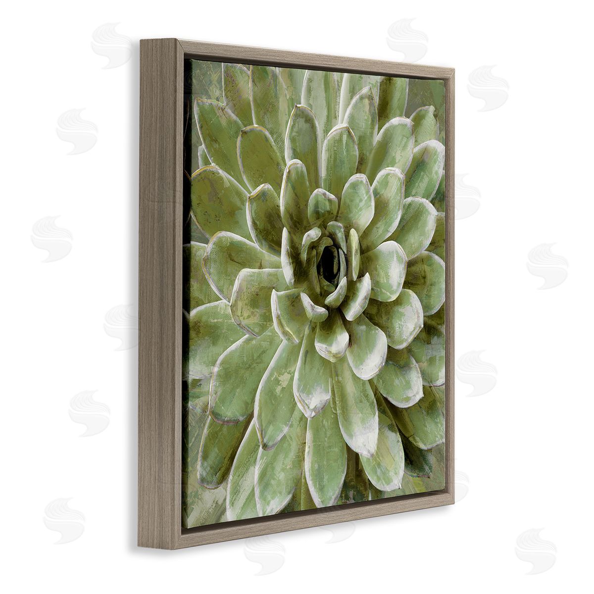 Green Botanical Succulent Bloom Brown Floating Frame Canvas Wall Art, Home Decor by Stupell Studio
