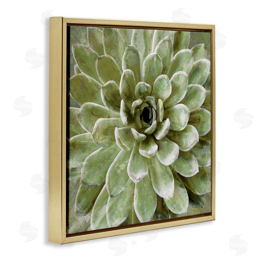 Stupell Studio | Green Botanical Succulent Bloom