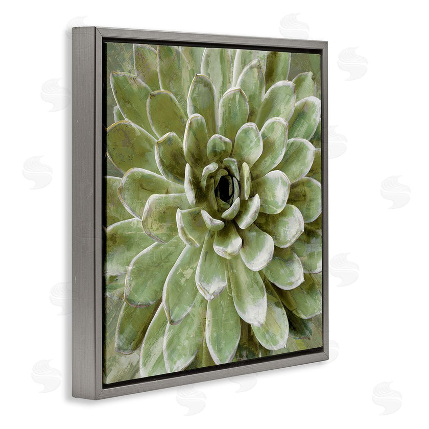 Stupell Studio | Green Botanical Succulent Bloom