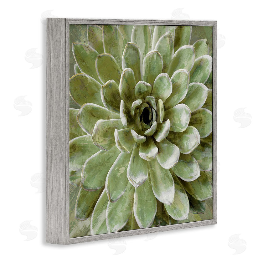 Stupell Studio | Green Botanical Succulent Bloom