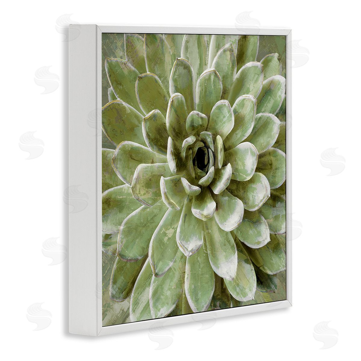 Green Botanical Succulent Bloom White Frame Print Wall Art, Home Decor by Stupell Studio