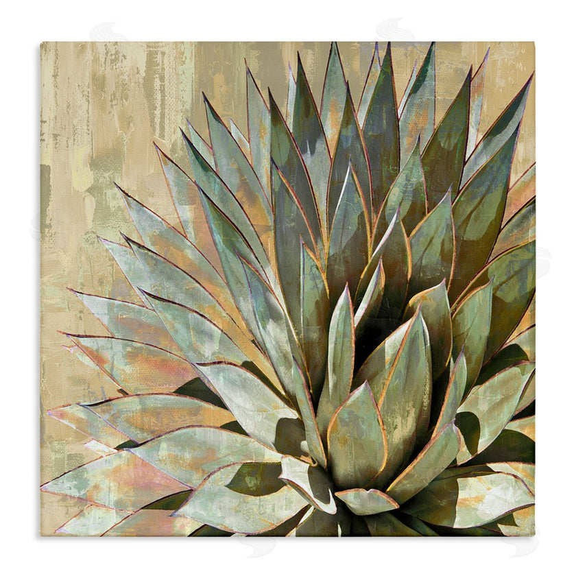 Lindsay Benson | Green Succulent Agave Leaves