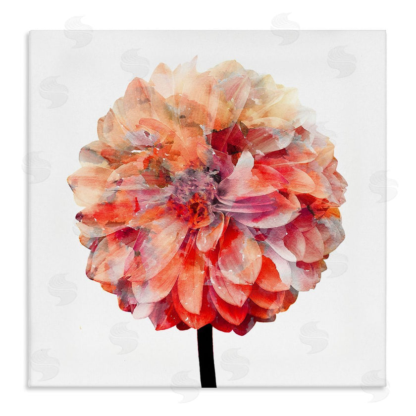 Kimberly Allen | Bright Coral Watercolor Bloom
