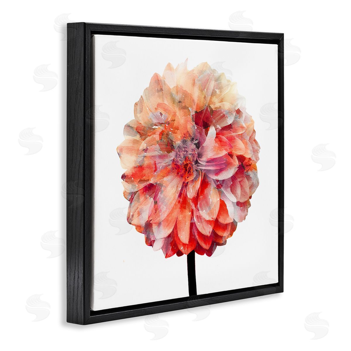 Bright Coral Watercolor Bloom Black Floating Frame Canvas Wall Art, Home Decor by Kimberly Allen