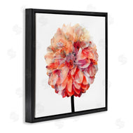 Kimberly Allen | Bright Coral Watercolor Bloom
