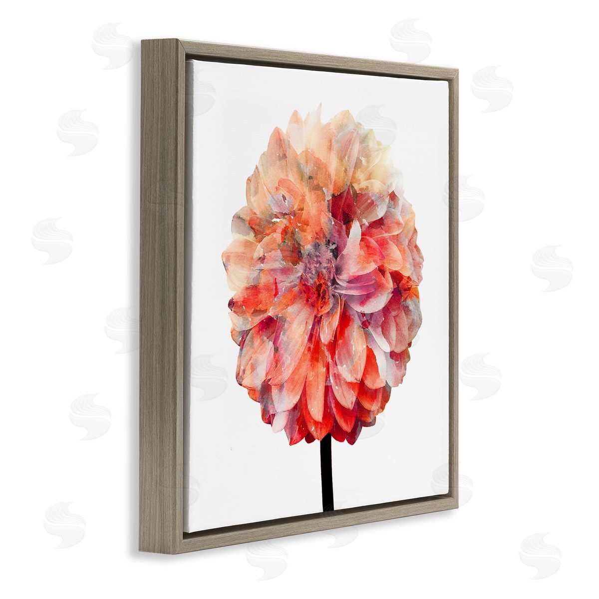 Bright Coral Watercolor Bloom Brown Floating Frame Canvas Wall Art, Home Decor by Kimberly Allen