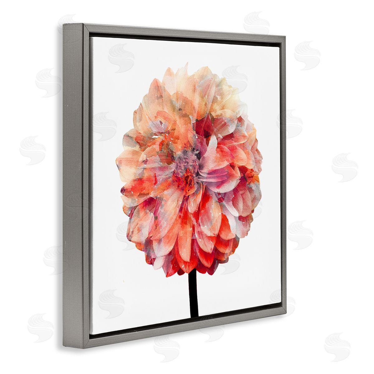 Bright Coral Watercolor Bloom Grey Floating Frame Canvas Wall Art, Home Decor by Kimberly Allen