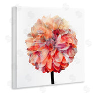 Kimberly Allen | Bright Coral Watercolor Bloom