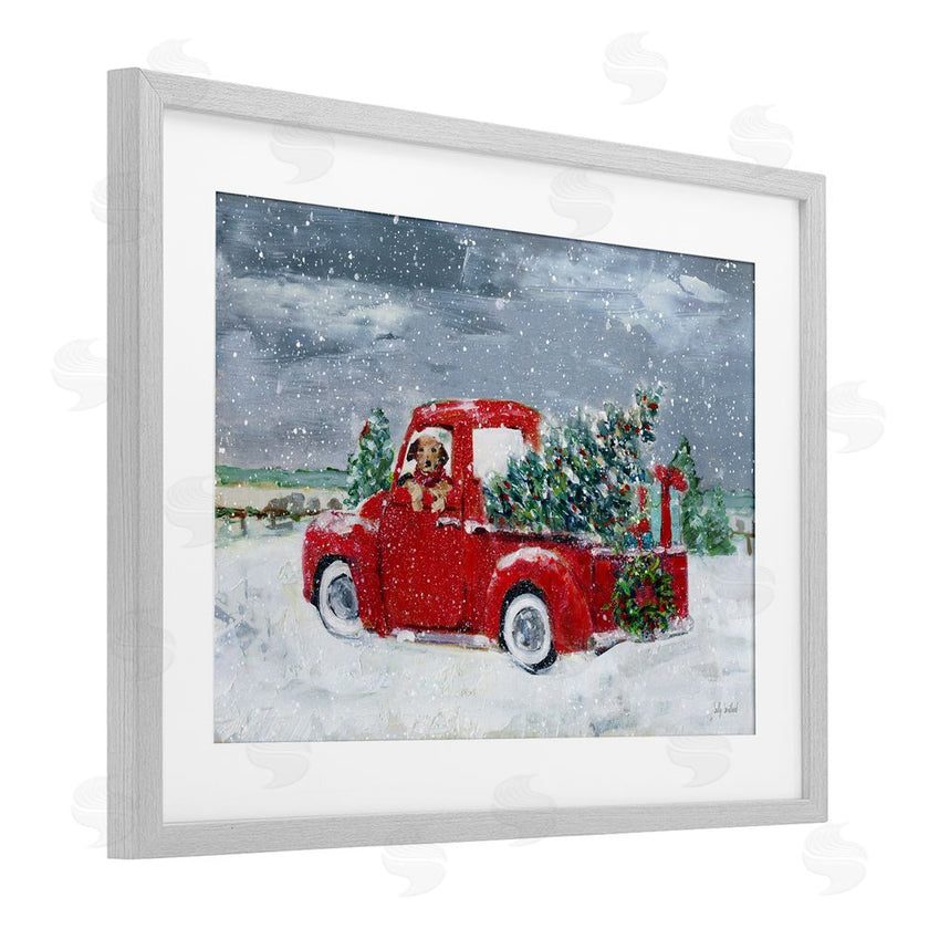 Sally Swatland | K9 Christmas Time