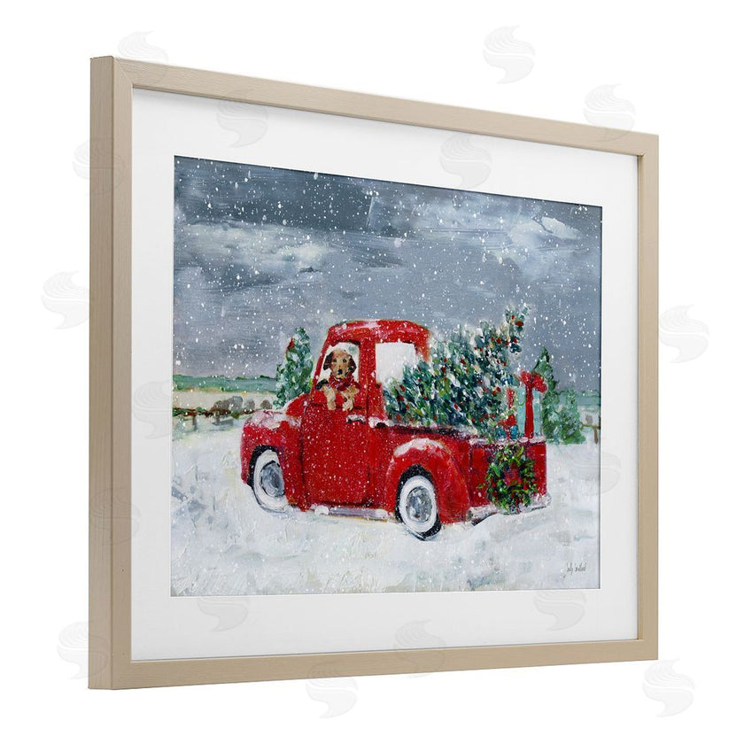 Sally Swatland | K9 Christmas Time