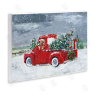 Sally Swatland | K9 Christmas Time