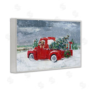 Sally Swatland | K9 Christmas Time