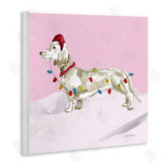 Carol Robinson | Christmas Lights Dachshund