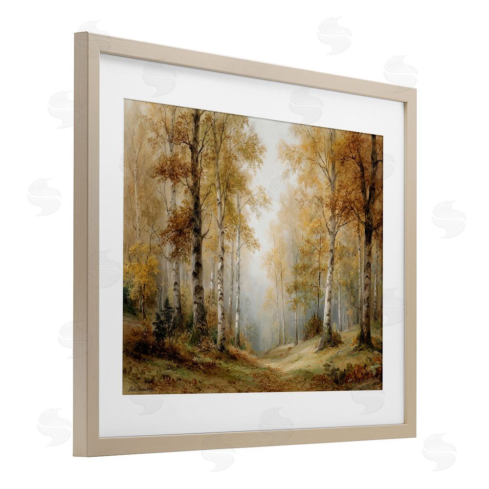 LSR Design Studio Birch Forest Pathway Birch Framed Print Under Glass with White Mat Wall Art