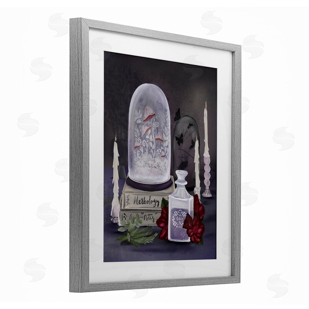 Adonna Ebrahimi Spooky Apothecary Vibes Gray Framed Print Under Glass with White Mat Wall Art
