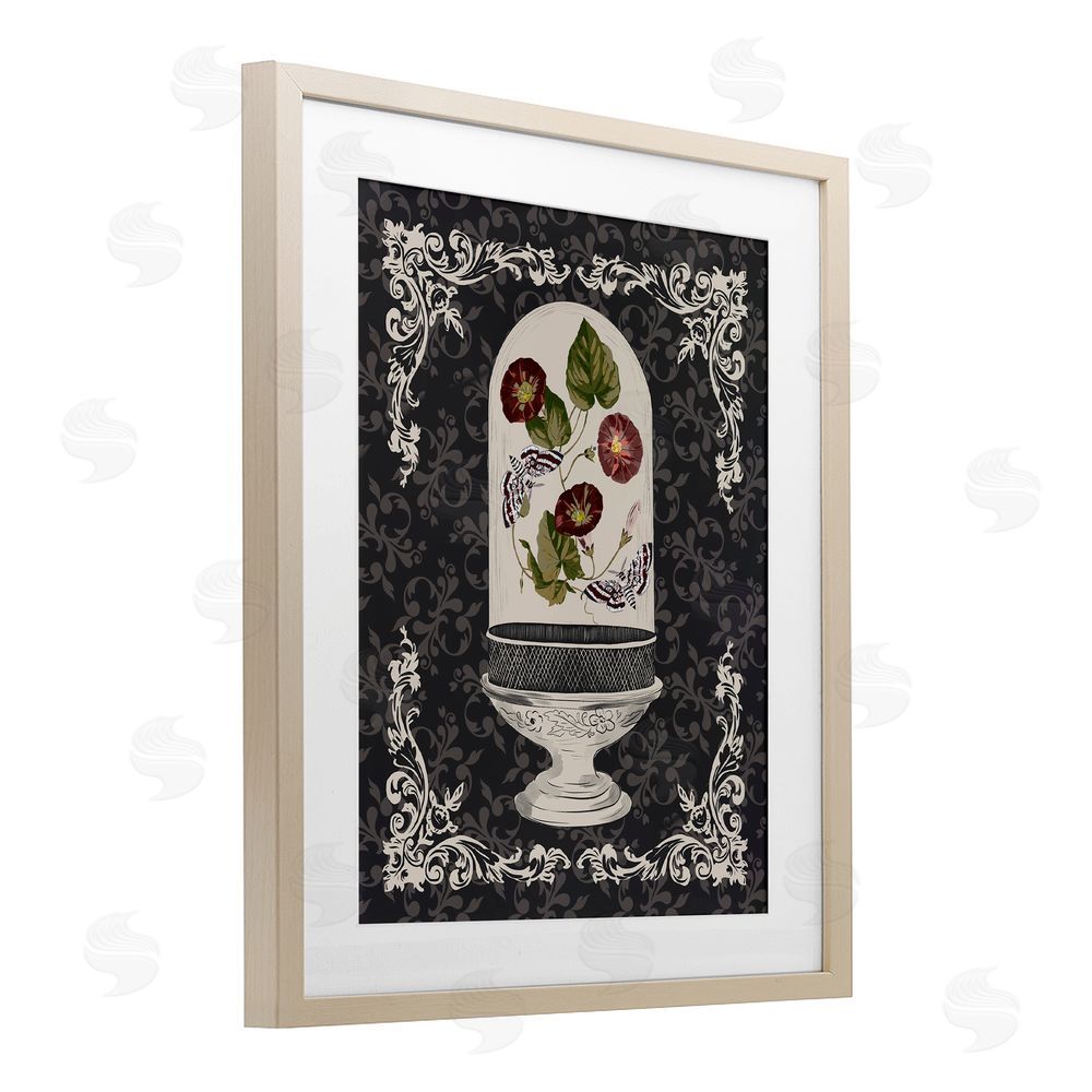 Radhika Modi Moths & Poppies in Glass Dome Birch Framed Print Under Glass with White Mat Wall Art